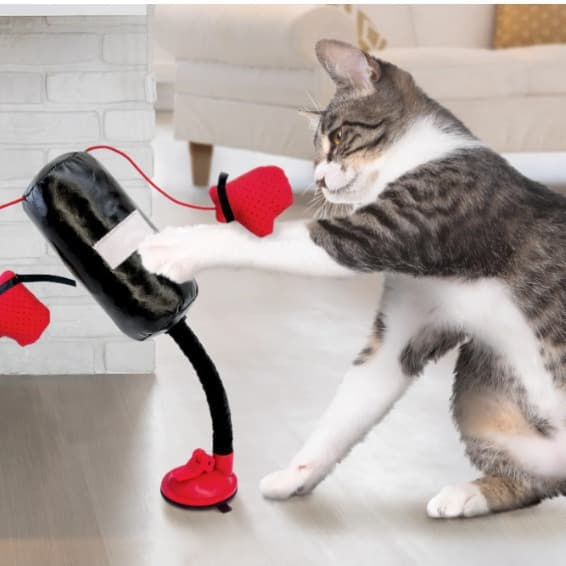 MEWLIO PunchPaws punching bag and glove detail