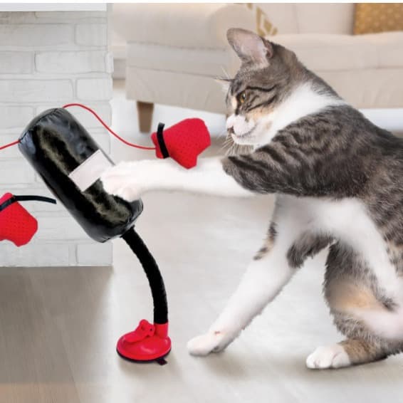 MEWLIO PunchPaws toy with a small punching bag and gloves