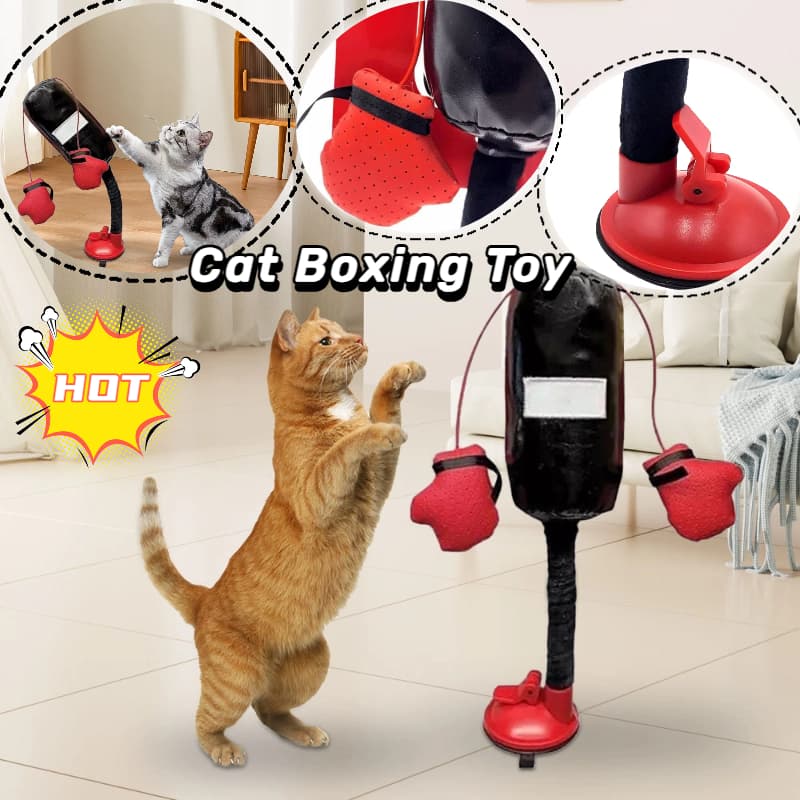 Cat playing with MEWLIO PunchPaws