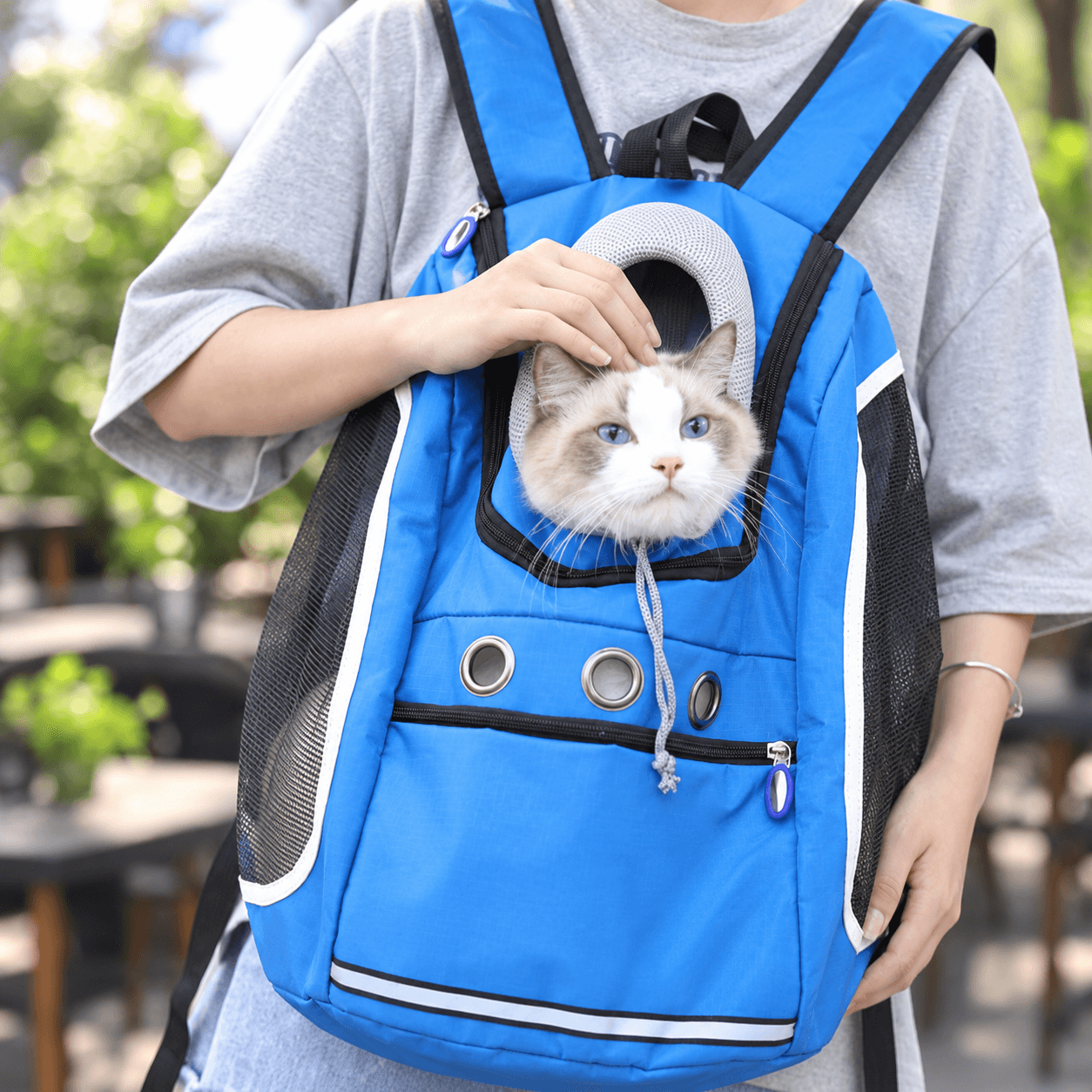 Blue MEWLIO PurrSuit cat backpack worn outdoors